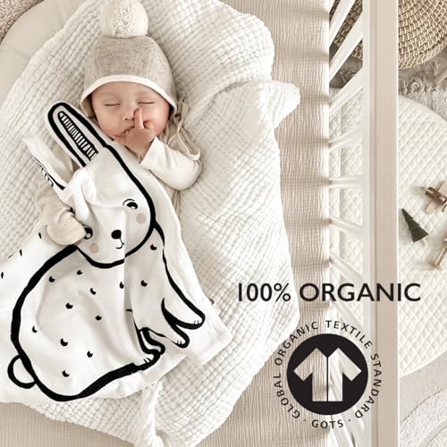 Wee Gallery Organic Snuggle Blanket (Bear) - for Babies, Cotton Jersey and Sherpa, Soft Soothing Plush Blankie, Lovey, Baby Gift for Newborn Boys and Girls - Image 2