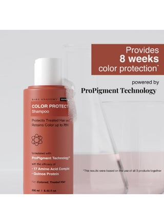 Hair Colour Protect Shampoo, Retains Colour Upto 8 Weeks, Repairs Damage With Amino Acid & Quinoa Protein For Dry & Frizzy Coloured Hair For Unisex, 250ml - view 2