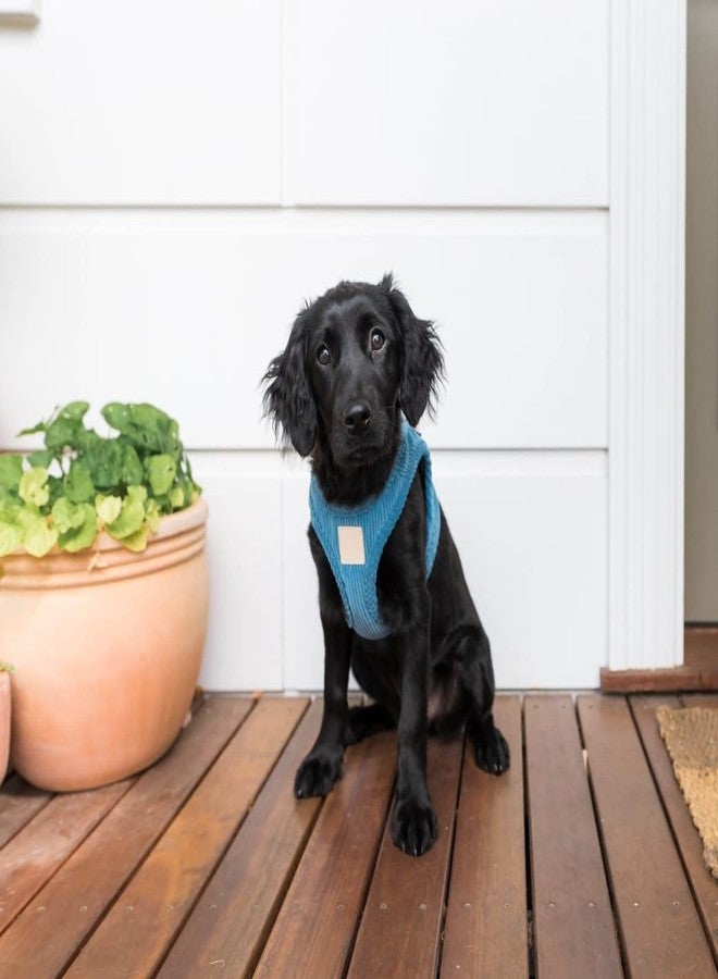 FuzzYard Life Corduroy Step in Dog Harness | Size M | Stylish Premium Corduroy Design in French Blue Perfect for Everyday Walks - Image 2