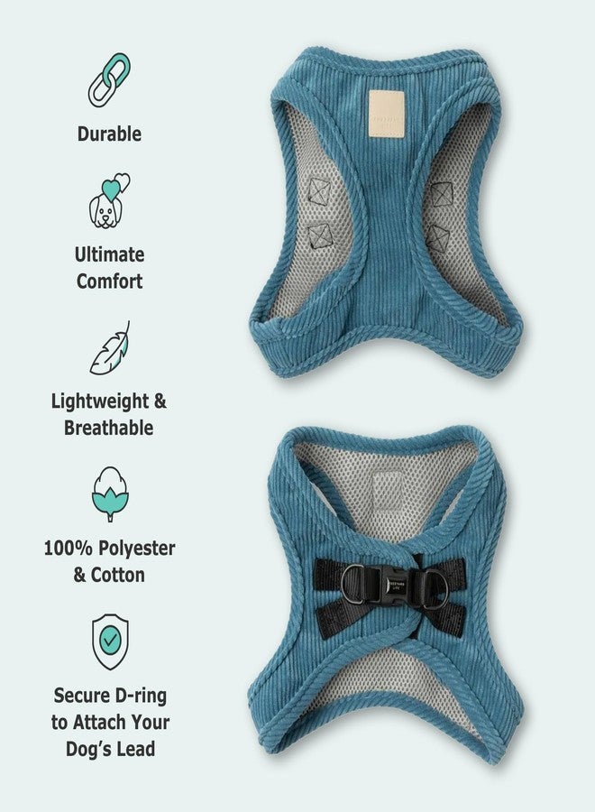 FuzzYard Life Corduroy Step in Dog Harness | Size M | Stylish Premium Corduroy Design in French Blue Perfect for Everyday Walks - Image 5