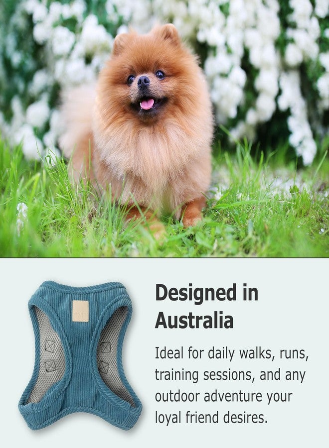 FuzzYard Life Corduroy Step in Dog Harness | Size M | Stylish Premium Corduroy Design in French Blue Perfect for Everyday Walks - Image 3