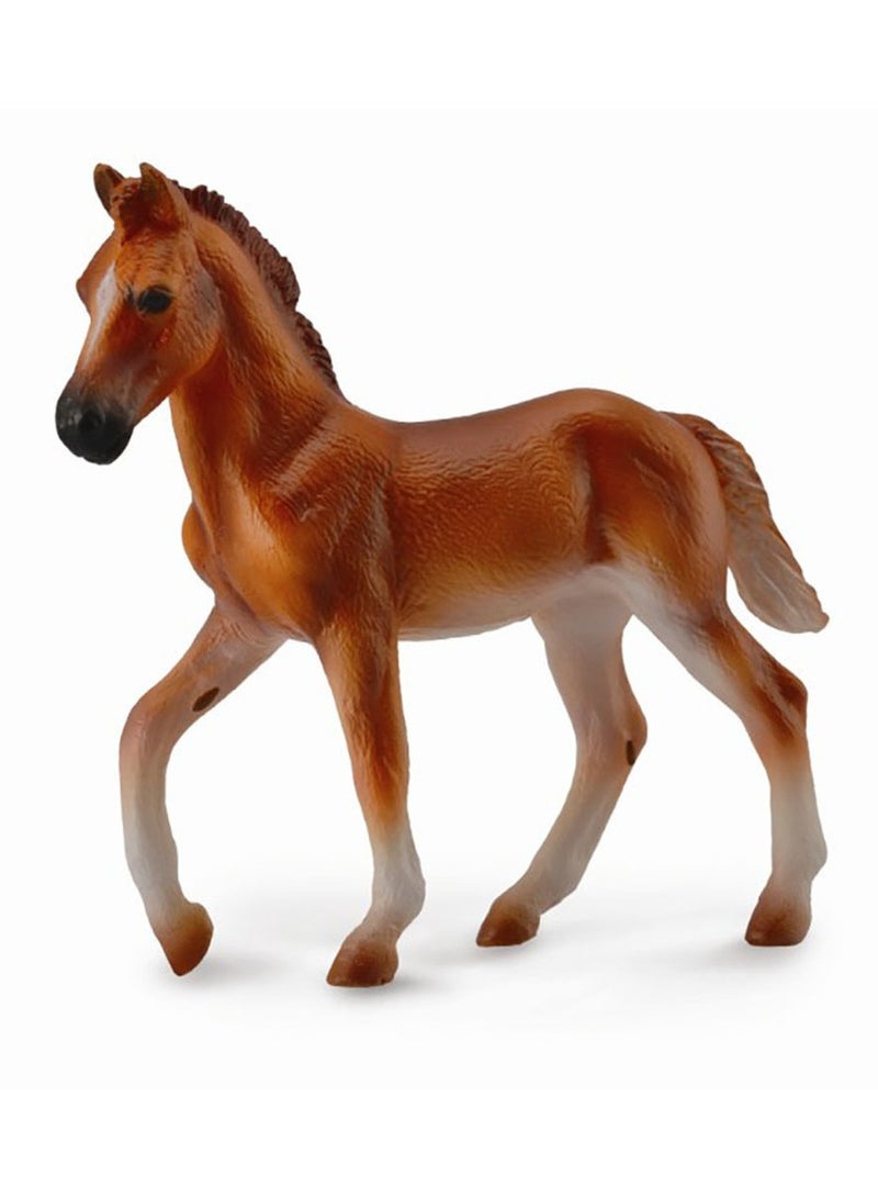 Collecta - Peruvian Paso Foal - 88751