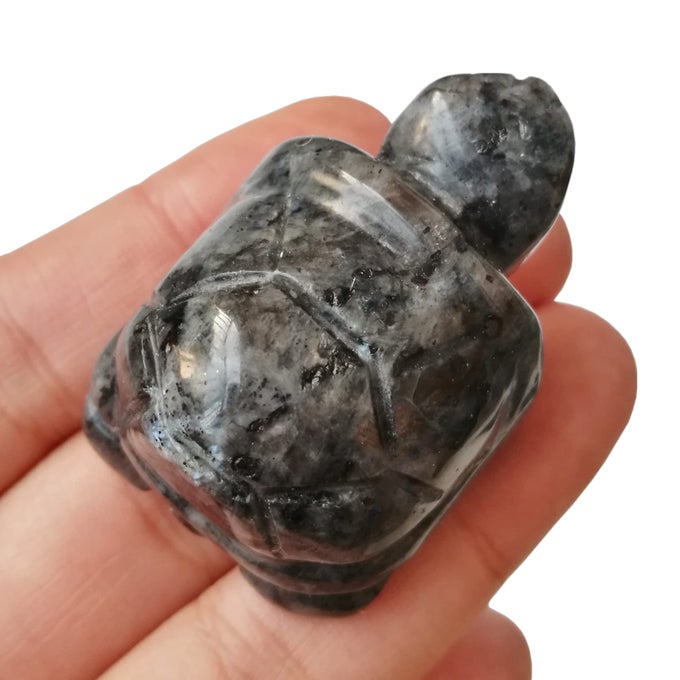 1 Pcs Black Labradorite Tortoise Crystals and Healing Stones 15 Hand Carved Animal Collectible Sculpture Fengshui Healing Crystal