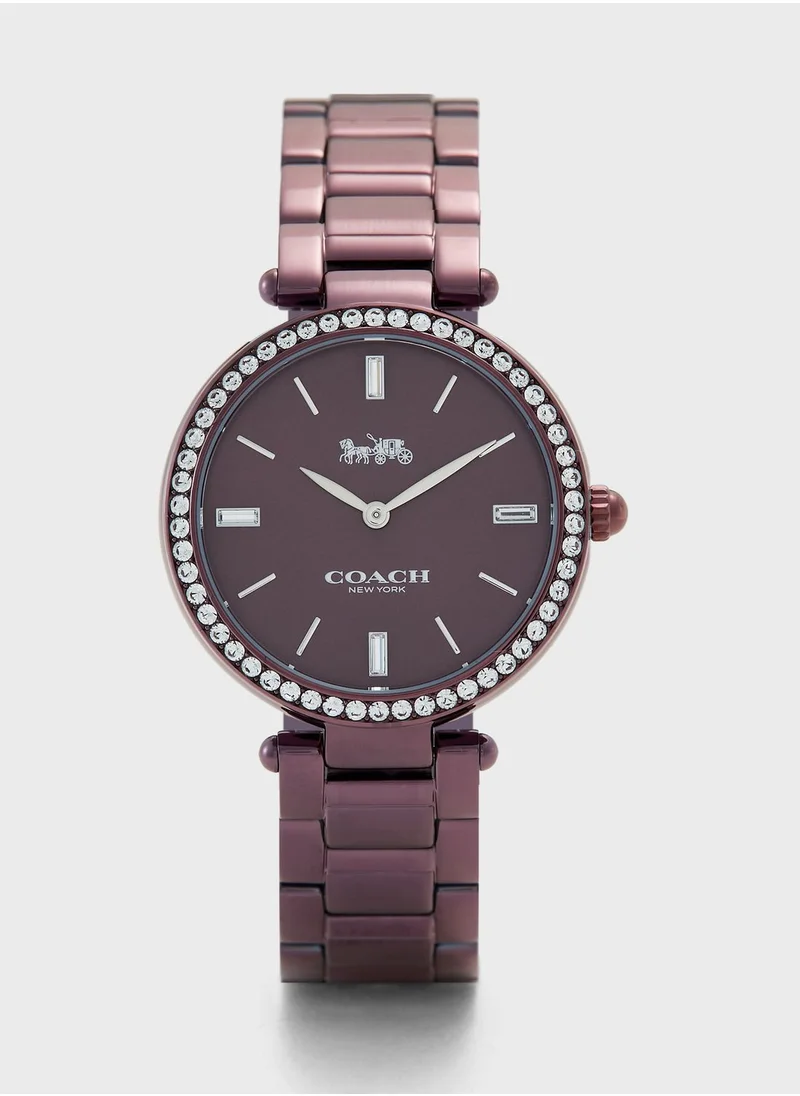 COACH Park Ionic Plated Steel Strap Watch