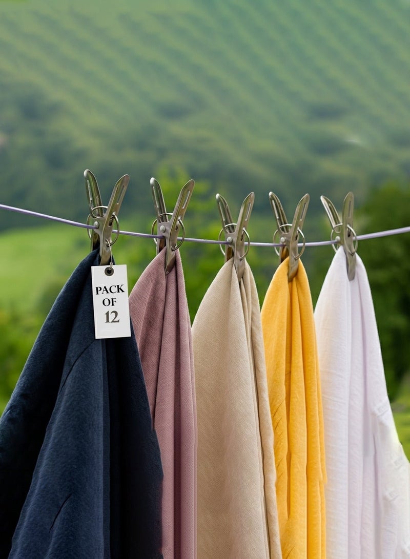 Kuber Industries 12 Piece Steel Cloth Drying Clip, Silver (CTKTC0342) - Image 1