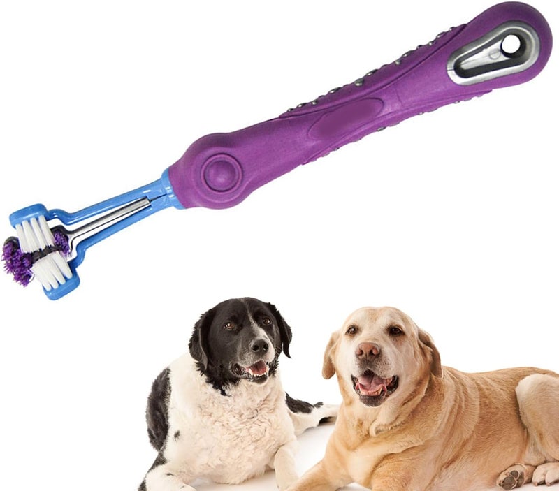 Zerodis Pet Toothbrush, Puppy Toothbrush Efficient and Time Saving Dog Toothbrush Convenient and Easy to Use Dog and Cat Toothbrush Pet Supplies for Oral Washing () - Image 3
