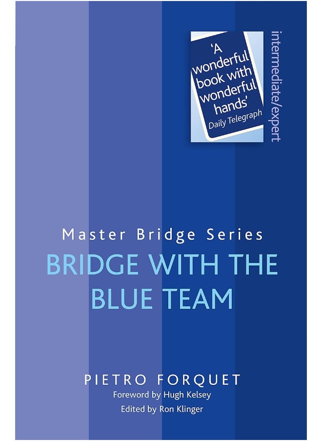 Bridge With The Blue Team 