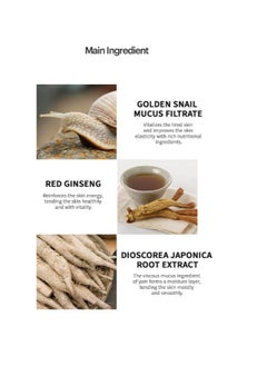 Skin79 SKIN79 Golden Snail Intensive Cleansing Foam Concentrated Moisture Booster Skin Care Made In Korea  - Image 4