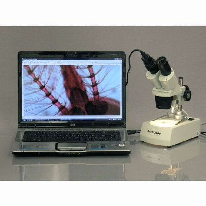 AmScope Se306R-Pz Forward Binocular Stereo Microscope, Wf10X And Wf20X Eyepieces, 10X-80X Magnification, 2X And 4X Objectives, Upper And Lower Halogen Light Source, Pillar Stand, 120V , White - Image 2