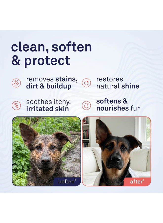 Petpost Argan Shampoo for Dogs - Naturally Heals, Protects, & Rejuvenates Dog Dry Skin & Coat - Argan Oil and Aloe Formula (474 mL) - Image 2