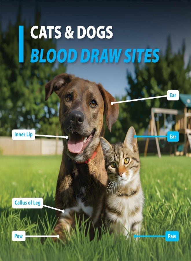 Easy Touch Pet Glucose Test Strips for Dogs & Cats (50 Count) - Image 4