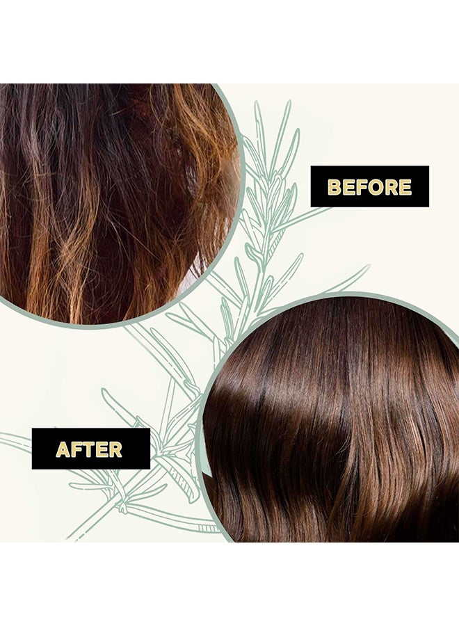 YILEST Rosemary & Biotin Solid Shampoo and Conditioner Set for Hair Growth - Strengthening, Thickening & Volumizing Shampoo and Conditioner Bar 2 pack - Image 5