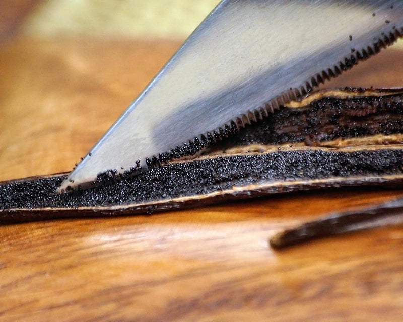 Vanilla Bean Kings Organic Madagascar Vanilla Beans - Image 4