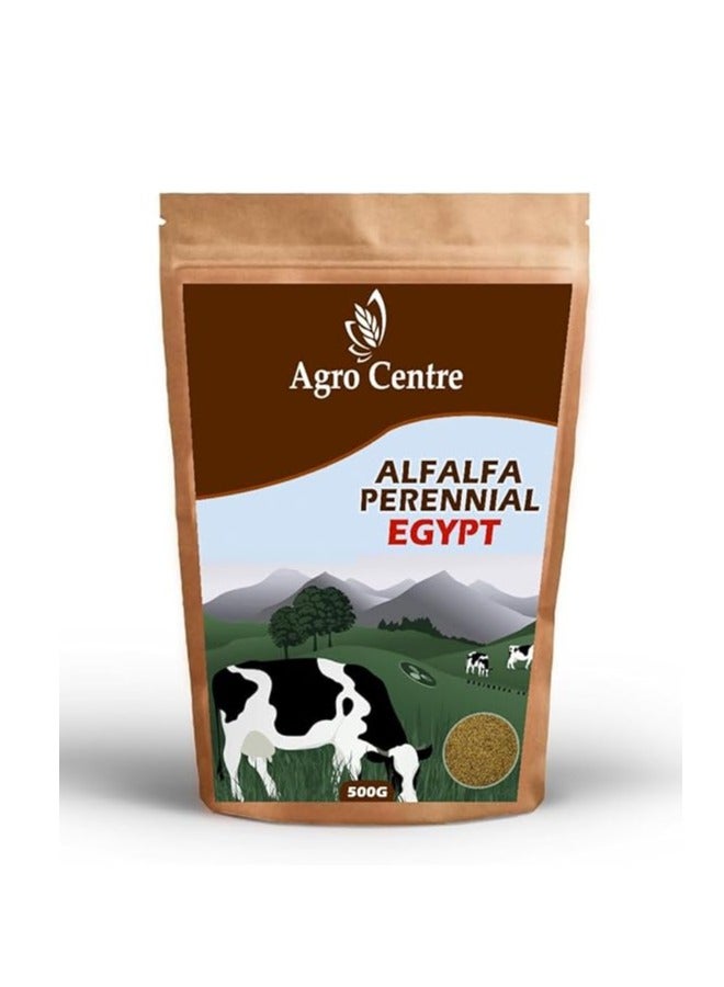 Generic AGROCENTRE Organic Alfalfa Seeds Hedge Lucerne High Alfalfa | 5 layer Cut | Protein Grass Seeds for Cultivation | Made in Egypt| Farmers choice | 500g 