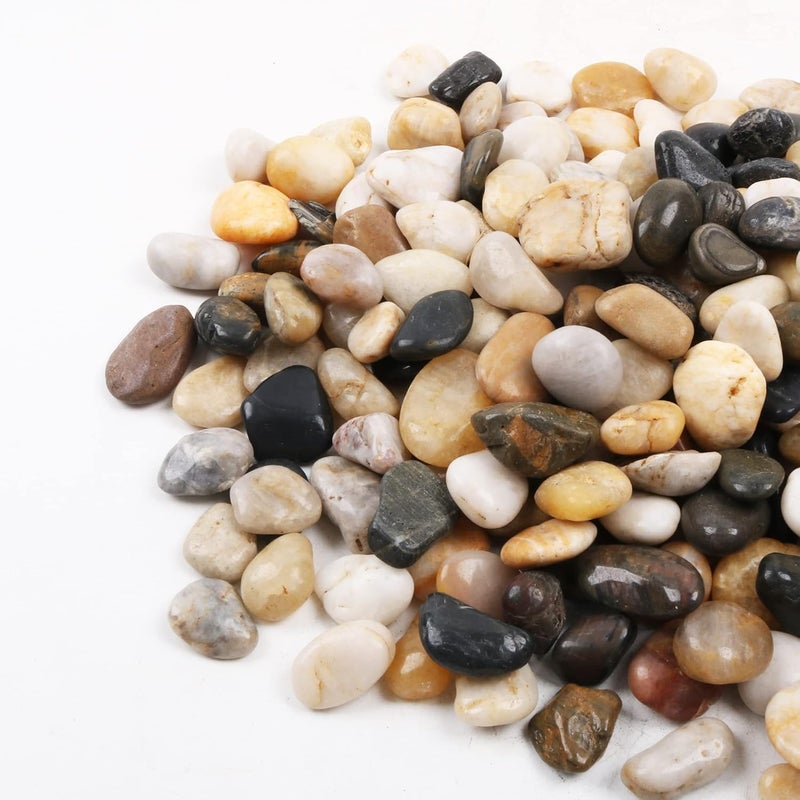 CJGQ Pebbles for Plants 1.8 lb Natural Garden Decorative Stone Outdoor Polish River Rocks 1-1.5 Inches… - Image 1