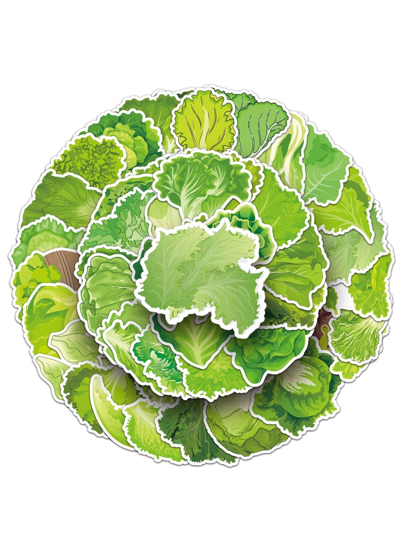 50 قطعة من ملصقات أوراق الخس المضحكة واللطيفة على شكل خضراوات لأجهزة الكمبيوتر المحمول وزجاجات المياه ولوح التزلج والكمبيوتر المحمول وسجل القصاصات والهاتف والسيارة من الفينيل المقاوم للماء وملصق الخس الكرتوني للفتيات والمراهقات والبالغين - Image 1