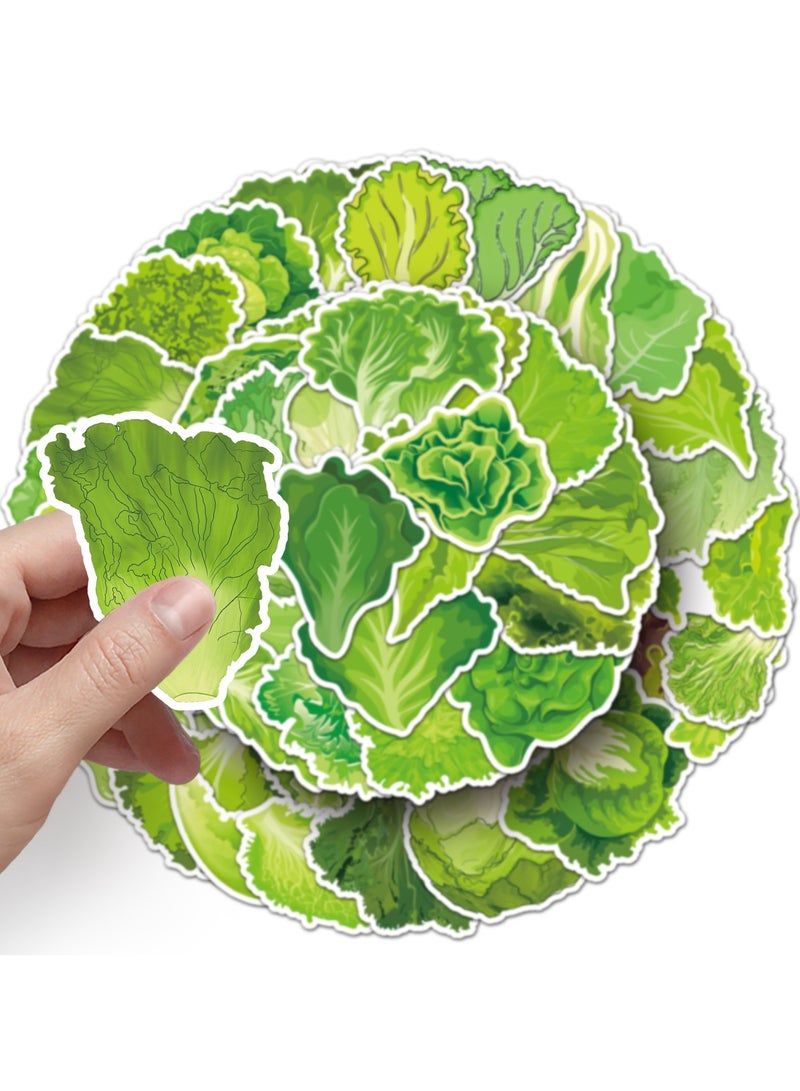 50 قطعة من ملصقات أوراق الخس المضحكة واللطيفة على شكل خضراوات لأجهزة الكمبيوتر المحمول وزجاجات المياه ولوح التزلج والكمبيوتر المحمول وسجل القصاصات والهاتف والسيارة من الفينيل المقاوم للماء وملصق الخس الكرتوني للفتيات والمراهقات والبالغين - Image 5