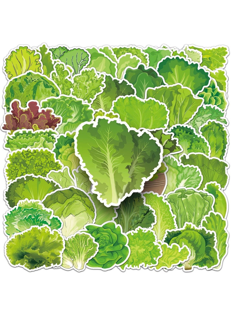 50 قطعة من ملصقات أوراق الخس المضحكة واللطيفة على شكل خضراوات لأجهزة الكمبيوتر المحمول وزجاجات المياه ولوح التزلج والكمبيوتر المحمول وسجل القصاصات والهاتف والسيارة من الفينيل المقاوم للماء وملصق الخس الكرتوني للفتيات والمراهقات والبالغين - Image 4