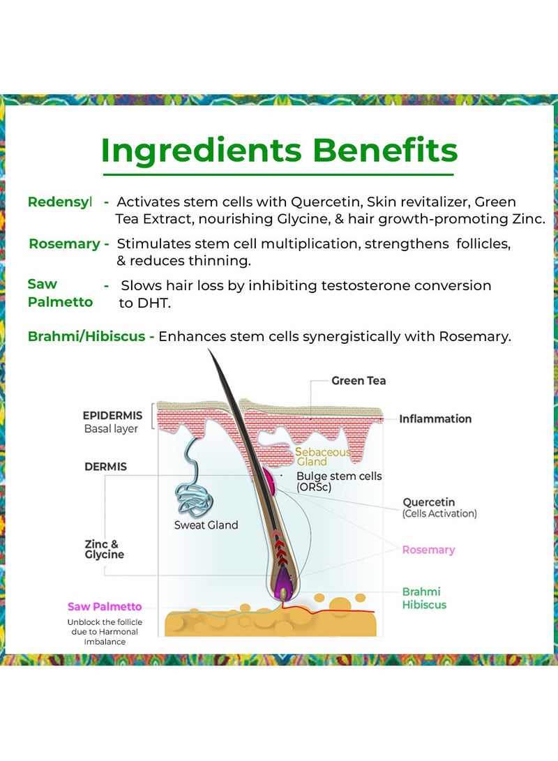 Passion Indulge Hair Growth & Anti-Grey Hair Serum Combo | With Redensyl, Rosemary, Saw Palmetto & Brahmi for Hair Growth | Arcolys, Amla & Black Tea for Premature Greying | Unisex | 2 x 50ml - Image 4