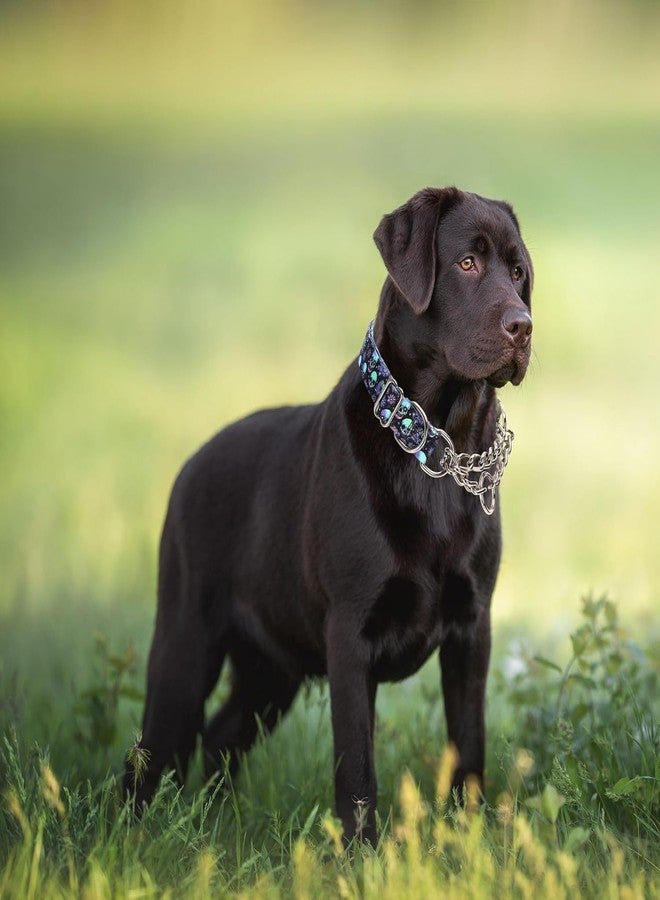 Weimostar Stainless Steel Chain Martingale Collar for Dogs, No Pull Slip Choker Collar Training Escape Proof Heavy Duty Choke Dog Collar for Small Medium Large Dogs Boy Male Pet, Skull XL - Image 2