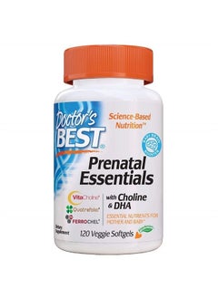 Prenatal Essentials with Choline & DHA, Supplement for Before, During & Post Pregnancy, 120 Count