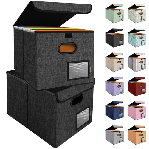 BALEINE File Organizer Box with Lid, Collapsible File Folder Organizer with Plastic Slide, Hanging File Folder Box for Office Document Storage (2 Pack, Black) - Image 1