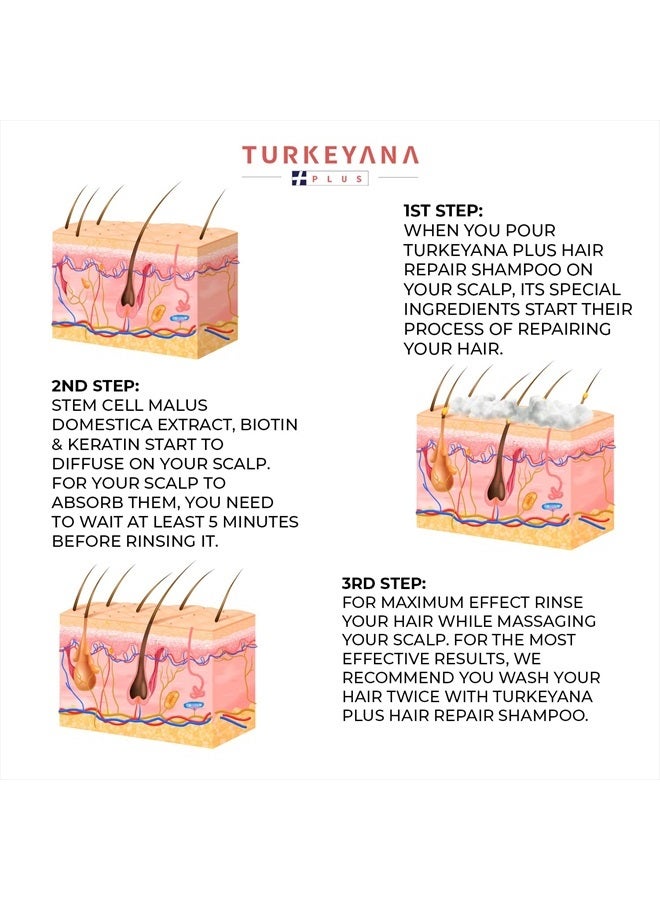 TURKEYANA PLUS Clinical Hair Growth Shampoo, Anti Thinning, Hair Loss Biotin Regrowth (Natural, Organic, Biology) Active Conditioner 240 Ml Argan, Shampoo for men and women - Image 2