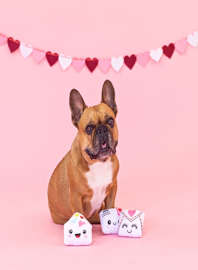 Fringe Studio Plush Dog Toy, 3 Pieces Set, Sealed with A Kiss, Pet Shop Collection (289534) - Image 3