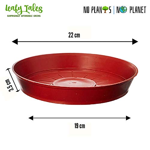 Leafy Tales Plants Bottom Plate, Drip Tray for Plants, Gamla, Terracotta Color| (8-inch, Brown, Set of 8) - Image 2