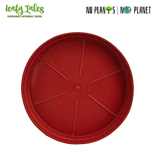 Leafy Tales Plants Bottom Plate, Drip Tray for Plants, Gamla, Terracotta Color| (8-inch, Brown, Set of 8) - Image 4
