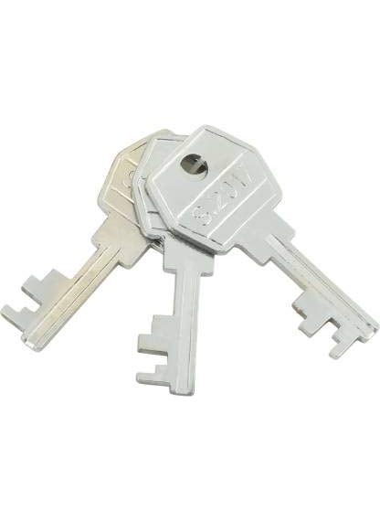 SATYAM Satyam Active 65501 8 Levers Padlock With 3 Keys Gold Silver  - Image 5