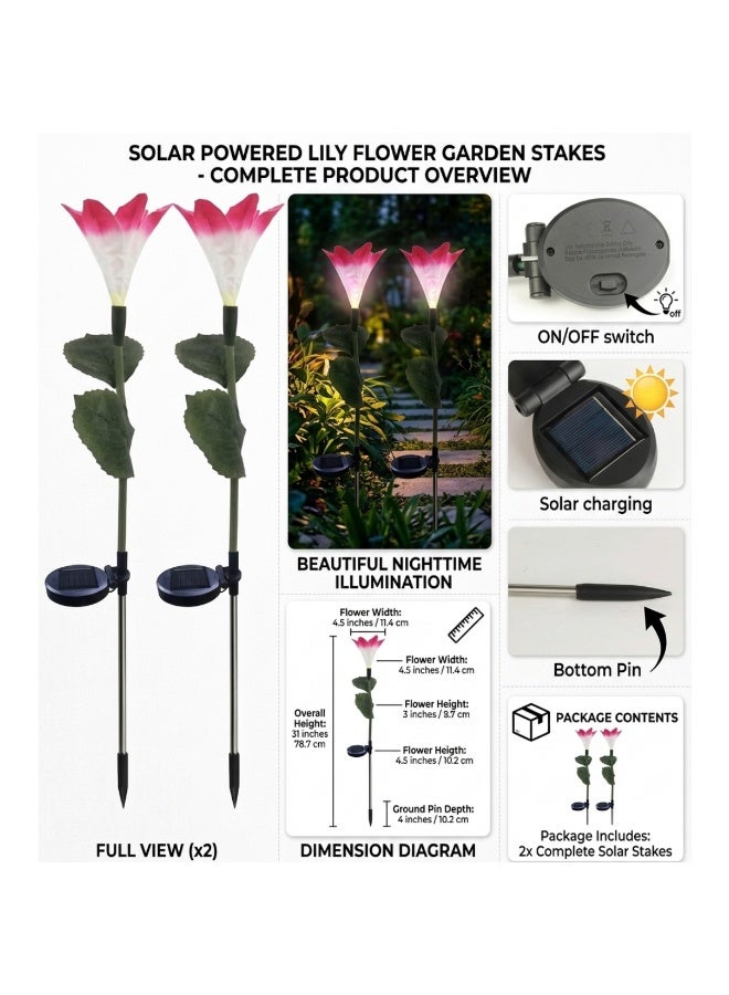 Solar Lily Flower Garden Lights Outdoor, Waterproof, Color Changing LED, 2 Pack - Image 3
