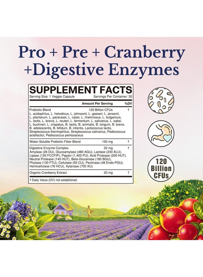 Vitalitown Vitalitown Probiotics for Women 120 Billion CFUs, 30 Strains, with Prebiotics & Digestive Enzymes & Cranberry, Gut & Vaginal Health, Vegan 30 Delayed Release Caps  - Image 2