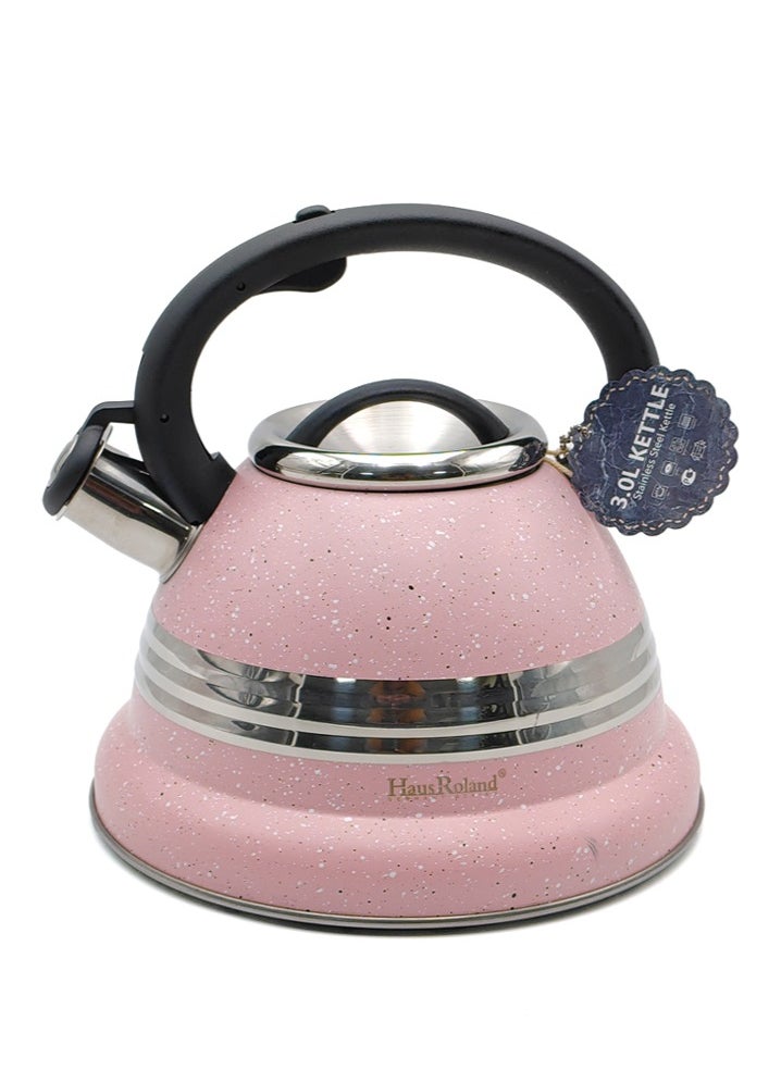 HausRoland Stainless Steel Tea Kettle, 3.17 Liters, Whistling Teapot, Stove Top, Stone Finish, Anti-Hot Handle, Anti-Rust, Loud Whistle, Fast Boiling Kitchen Utensil  - Image 1