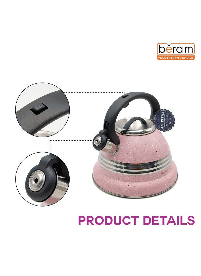 HausRoland Stainless Steel Tea Kettle, 3.17 Liters, Whistling Teapot, Stove Top, Stone Finish, Anti-Hot Handle, Anti-Rust, Loud Whistle, Fast Boiling Kitchen Utensil  - Image 3