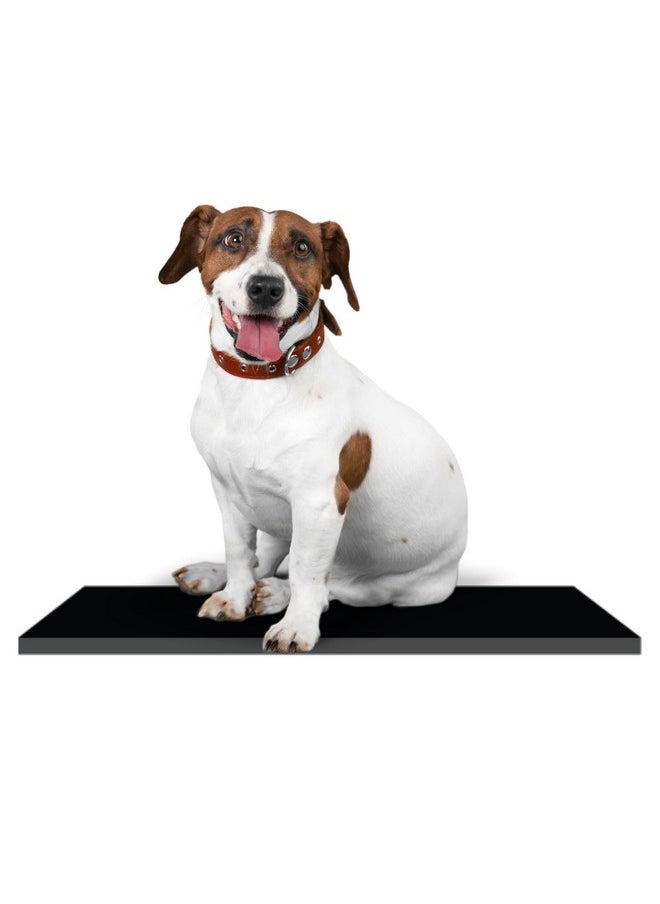 Elysian Dog Mat For Home And Outdoor 100% Waterproof And Reusable| Rubber Sheet For Dogs And Cat Easy To Carry Material Size -(10Mm)100X100Cm  - Image 1