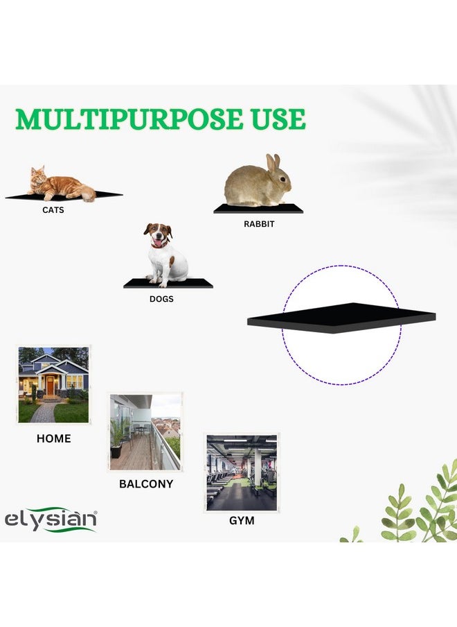 Elysian Dog Mat For Home And Outdoor 100% Waterproof And Reusable| Rubber Sheet For Dogs And Cat Easy To Carry Material Size -(10Mm)100X100Cm  - Image 5