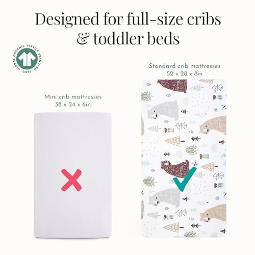 Evolur Grizzly Bear 3 Piece Crib Bedding Set, Machine Washable, Soft and Breathable Toddler Bedding Set, Includes Fitted Sheet, Wearable Blanket and Crib Skirt - Image 3