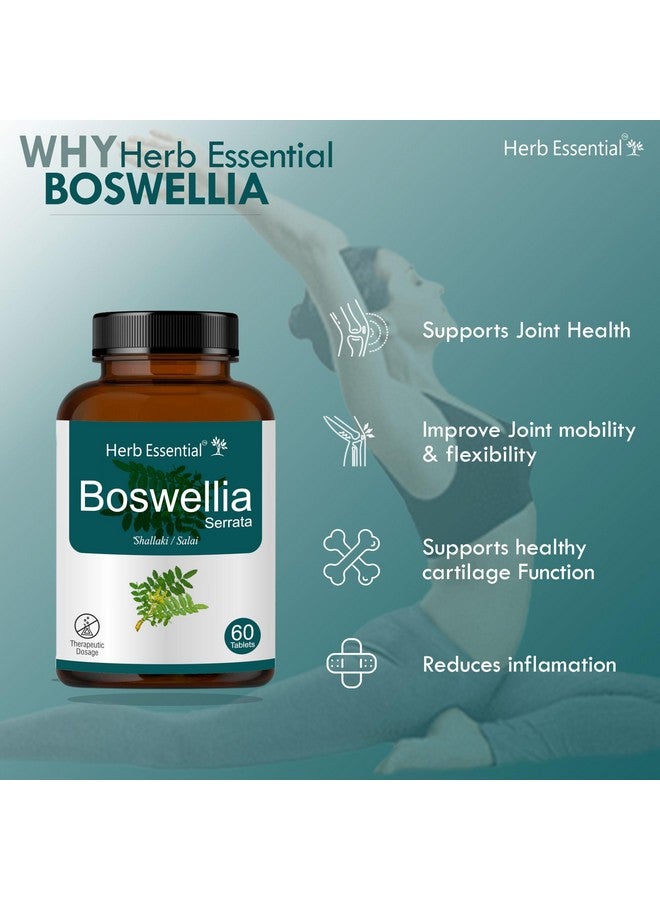 Herb Essential حبوب بوسويليا الأساسية / صحة العظام والمفاصل / 500 ملغ - 60 حبة - Image 4