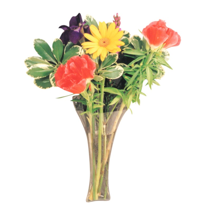 Gadjit Vinyl Window Vase Trumpet Style Flexible Vinyl Vase - Attaches to Windows  Mirrors  or Other Non-Porous Surfaces with Suction Cups Vase Holds a Bouquet of Flowers  Water  Greenery - Image 1