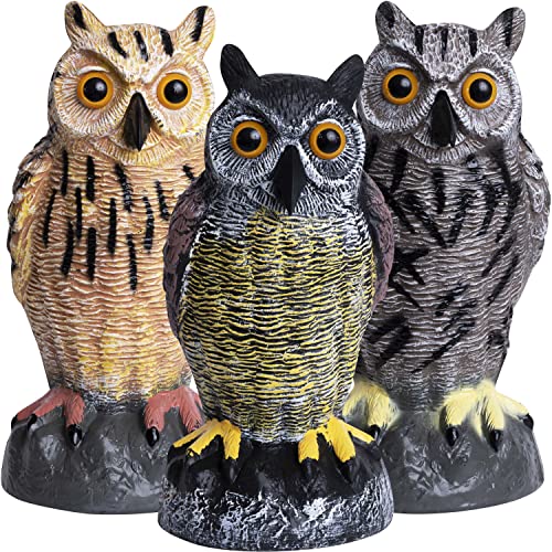 Galashield Plastic Owl Decoys [Set of 3] - Multicolor Owl Statues for Garden & Outdoors, Scare Birds Away, Realistic Design with Reflective Eyes, Weather Resistant - Image 1