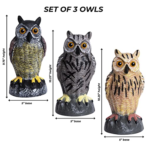 Galashield Plastic Owl Decoys [Set of 3] - Multicolor Owl Statues for Garden & Outdoors, Scare Birds Away, Realistic Design with Reflective Eyes, Weather Resistant - Image 4