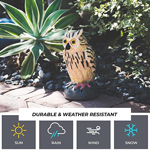 Galashield Plastic Owl Decoys [Set of 3] - Multicolor Owl Statues for Garden & Outdoors, Scare Birds Away, Realistic Design with Reflective Eyes, Weather Resistant - Image 5