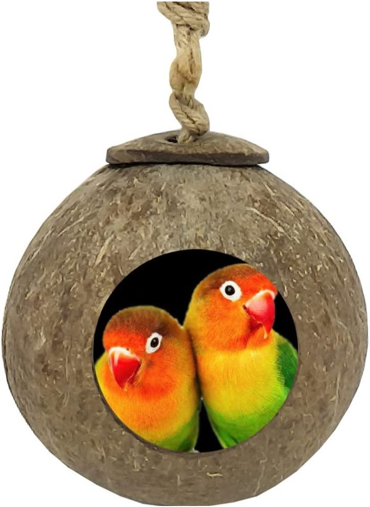 Natural Coconut Fiber Shell Bird Nest Hanging Coconut House Coconut Bird Nest Hut with Ladder Toys for Canary Parrot Parakeet Lovebird