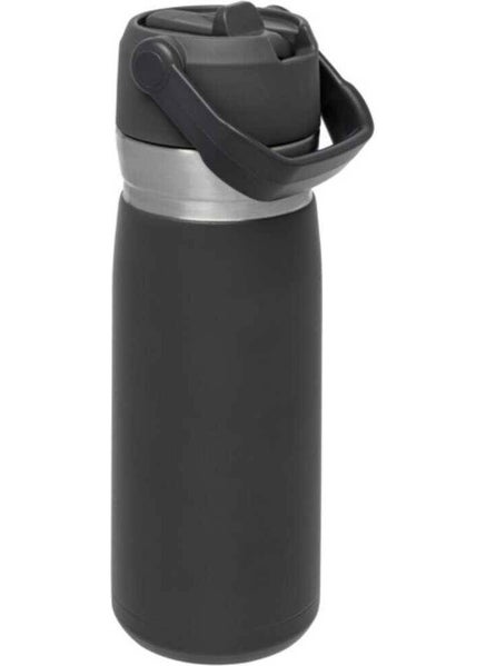 Stanley The Iceflow Stainless Steel Cold Water Thermos with Straw 0.65 Lt  - Image 3