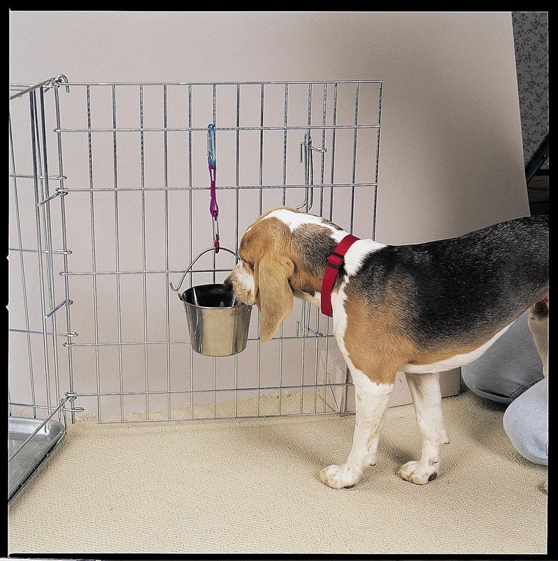 Pro Select Stainless Steel Pet Pail - 1-Quart Heavy Duty Flat Sided Water Bucket for Pet Kennels - Image 2