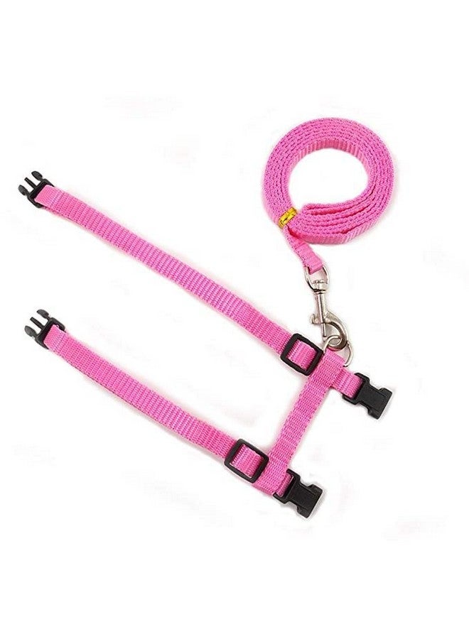 Nylon Leash With Full Body Harness Set For Cats Adjustable & Durable For Small Pet Walking - (Color As Per Availability) - Image 3