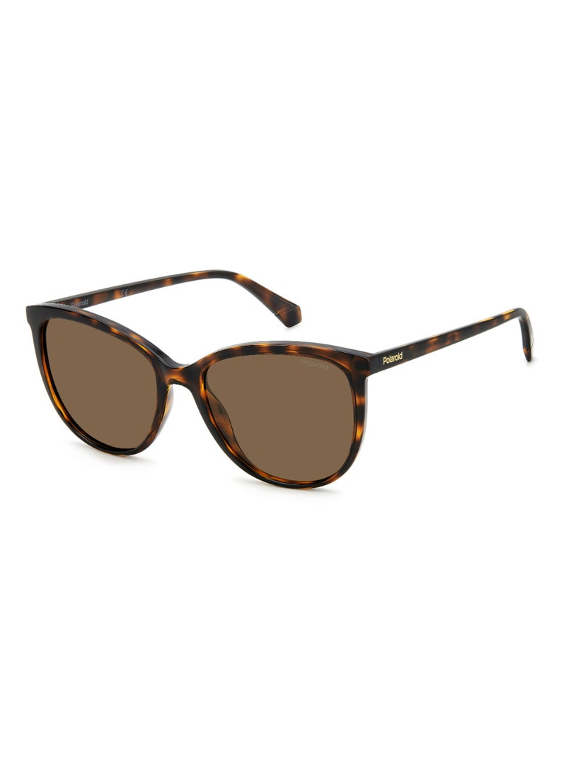 Polaroid Women's Polarized Rectangular Shape  Sunglasses Pld 4138/S Gold 48 - Lens Size: 47.7 Mm - Hvn  - Image 1