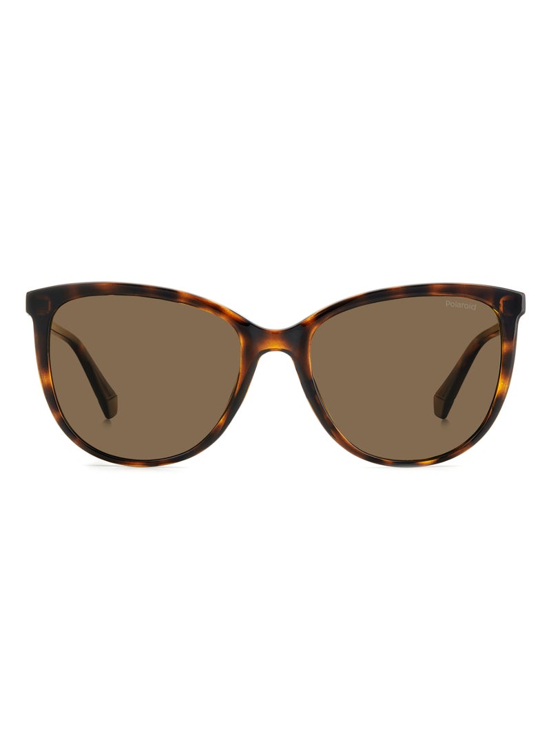 Polaroid Women's Polarized Rectangular Shape  Sunglasses Pld 4138/S Gold 48 - Lens Size: 47.7 Mm - Hvn  - Image 3