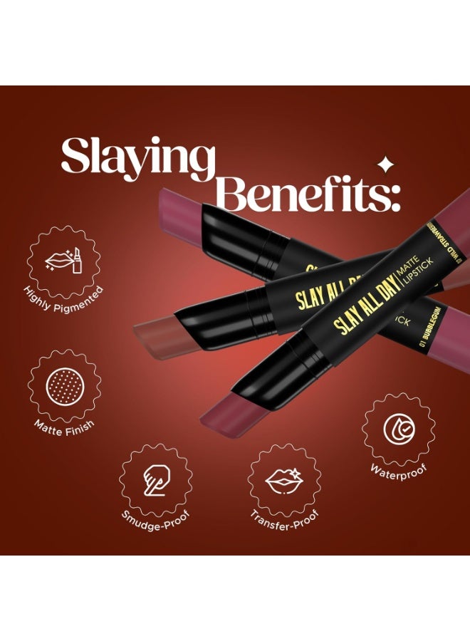Hilary Rhoda Slay All Day Matte Lipstick | Transfer-proof & Smudge-proof | Long-Lasting & Premium Creamy Lipstick | Waterproof & Vibrant Colour lipstick | 2.6g (Terracotta - Shade 04) - Image 4